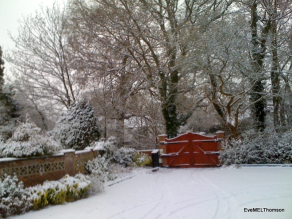 A snowy garden in Hampshire, UK before the snowman was built.